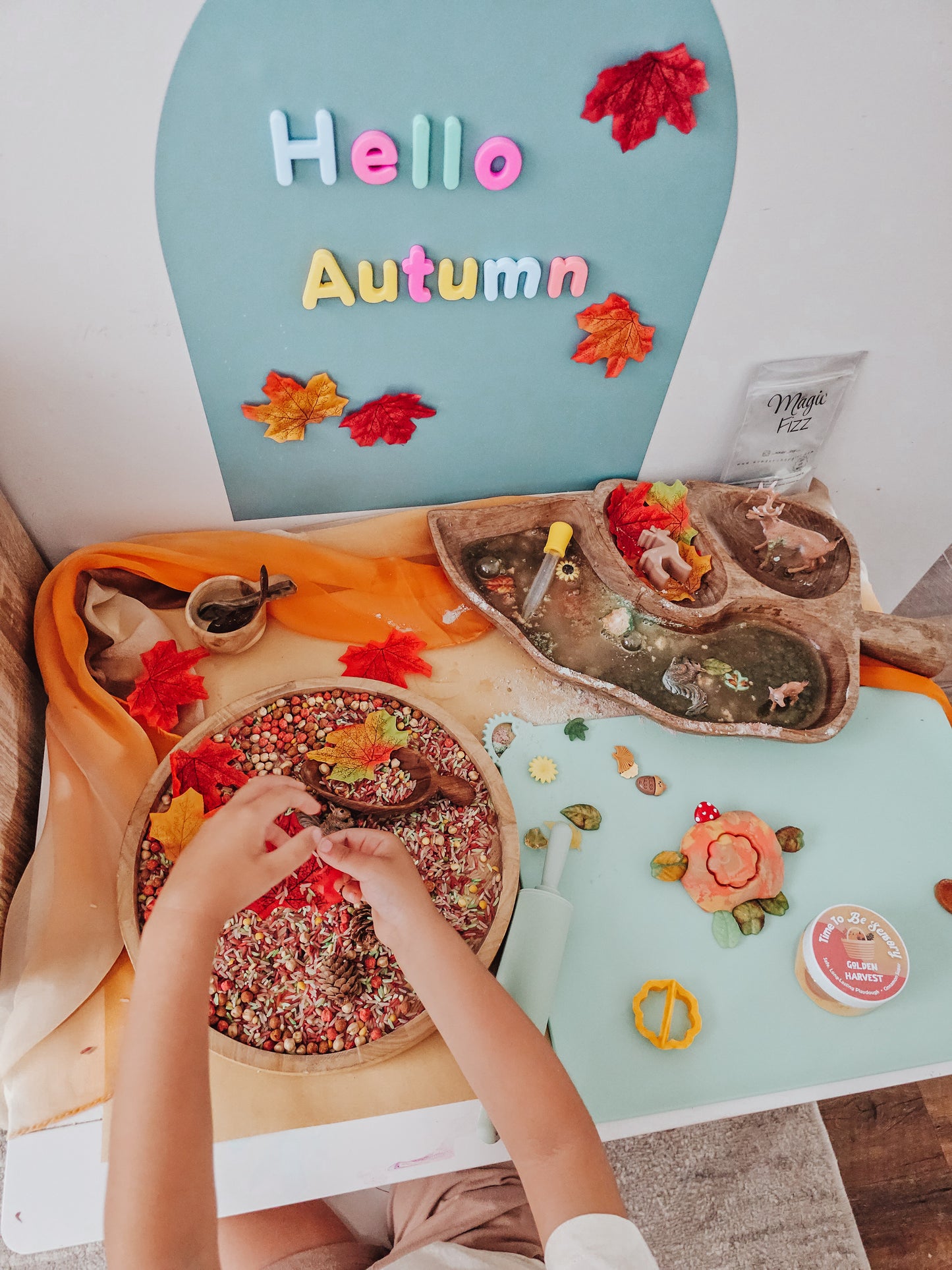 Autumn Collab Sensory Play Kit